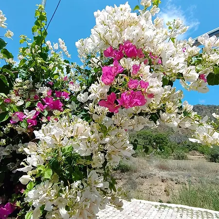 Arlin Σπίτι διακοπών *