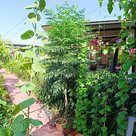 Σπίτι διακοπών Arlin *