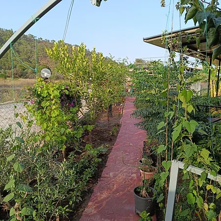 Arlin 度假居 凯梅尔