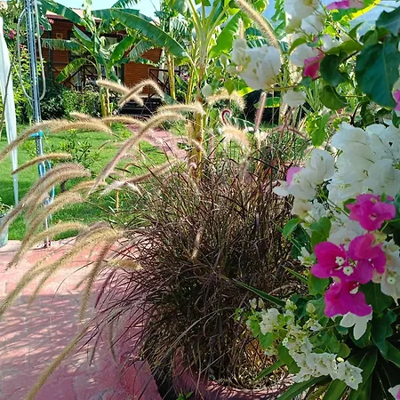 Arlin Дом отдыха Кемер