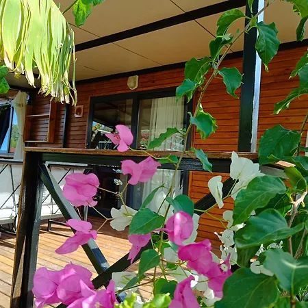 度假居 Arlin 凯梅尔