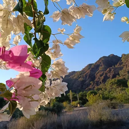 度假居 Arlin 凯梅尔