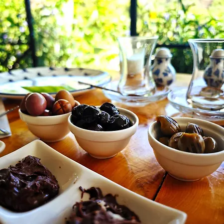 Arlin Дом отдыха *