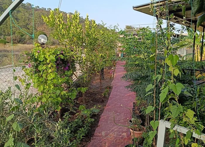 Arlin בית נופש קמר