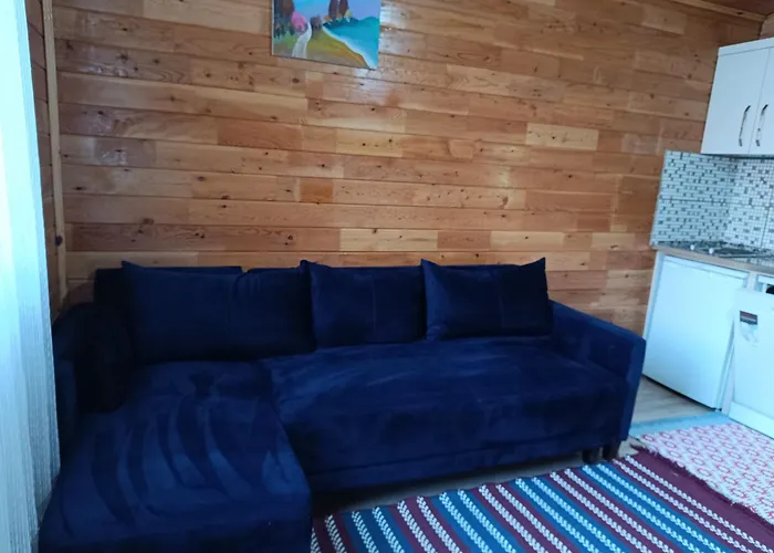 Arlin בית נופש קמר