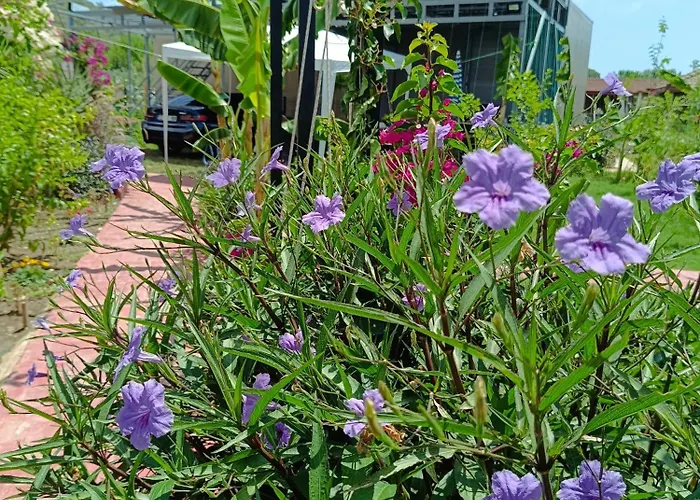 Arlin בית נופש *