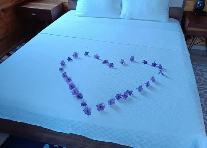 בית נופש Arlin *