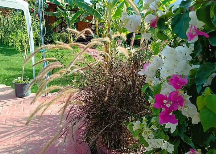 Arlin בית נופש קמר