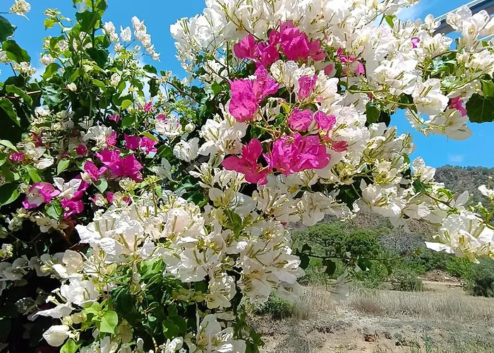 Arlin בית נופש *