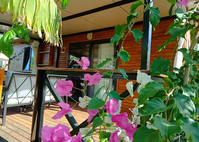 בית נופש Arlin קמר