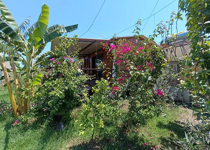 Arlin בית נופש