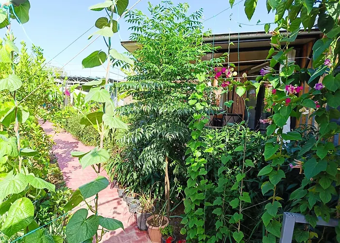 בית נופש Arlin *