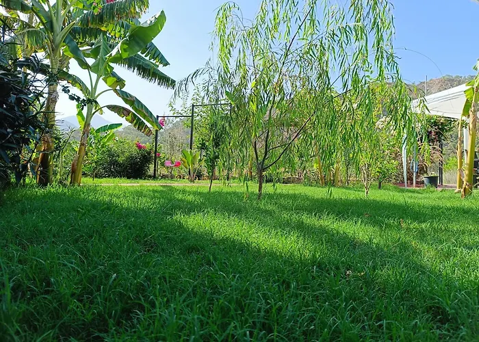 בית נופש Arlin *