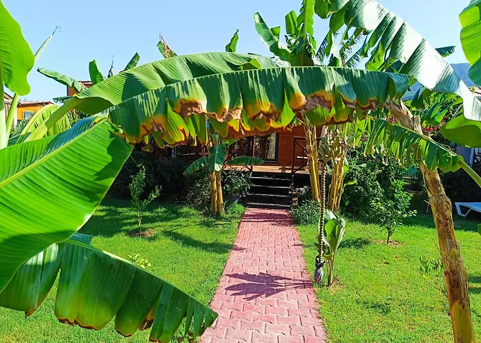 Arlin בית נופש *