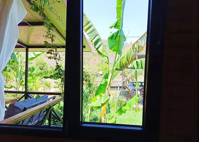 בית נופש Arlin קמר