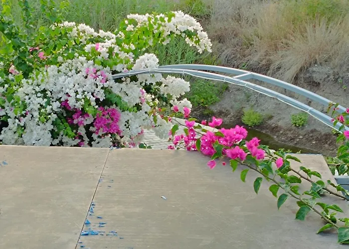 Arlin בית נופש קמר