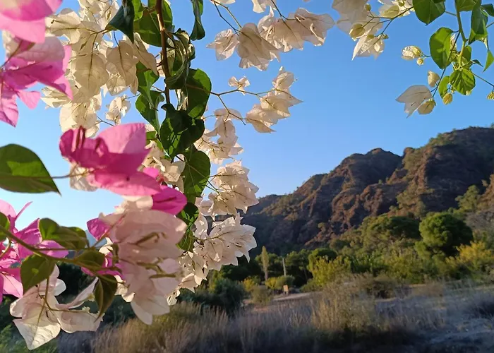 בית נופש Arlin קמר