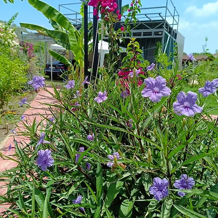 Arlin Dom wakacyjny *