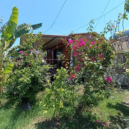 Arlin Holiday home