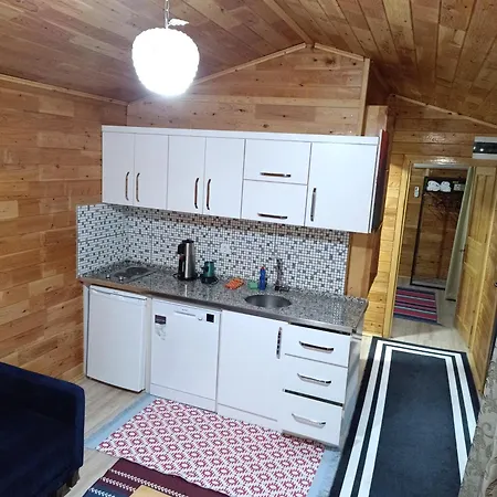 Arlin Dom wakacyjny *