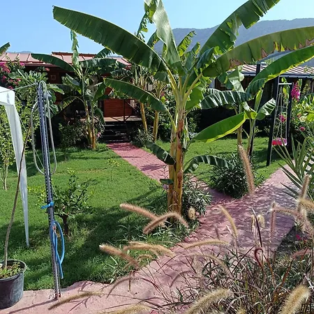 Holiday home Arlin Kemer