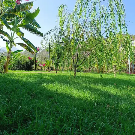 Holiday home Arlin *