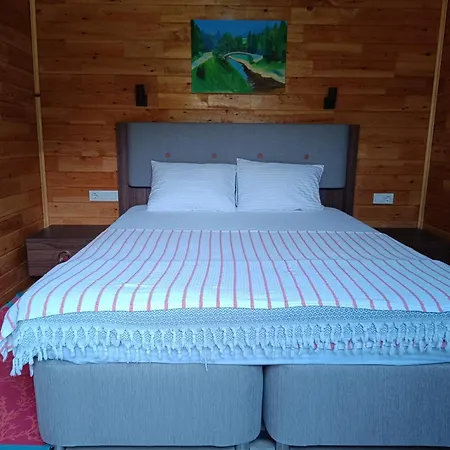 Arlin Holiday home