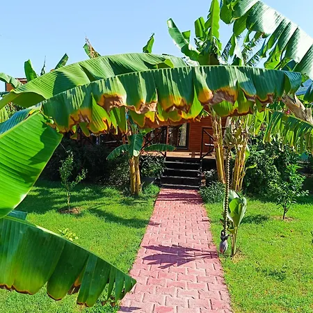 Arlin Dom wakacyjny *