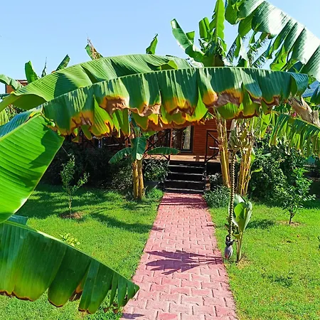 Arlin Holiday home *
