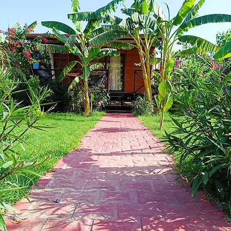 Dom wakacyjny Arlin Kemer