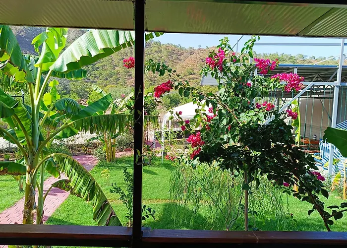 Arlin 別荘 ケメル