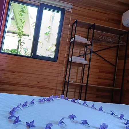 Ferienhaus Arlin *