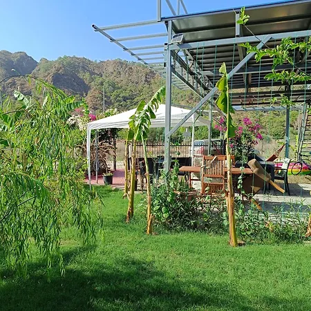Ferienhaus Arlin